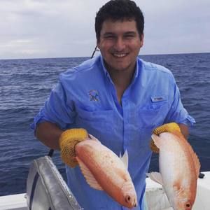 Meet your Posher, Nicholas